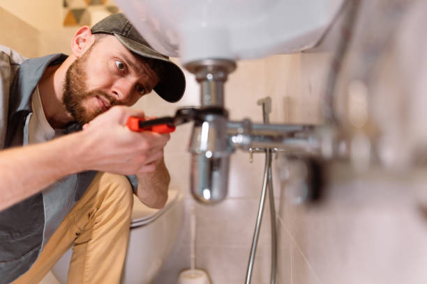 Best Trenchless Pipe Repair  in Dewitt, AR